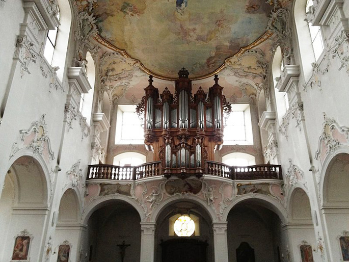 Dom von Arlesheim, Silbermann Orgel